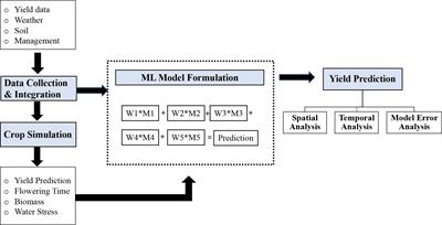 Crop yield prediction using deep sales neural networks